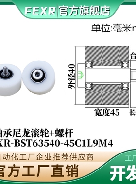 带螺杆BST63540-45C1L9M4尼龙塑料滚轮双轴承加宽输送带POM滑轮