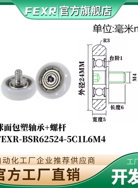 FEXR型球面包塑轴承BSR62524-5C1L6M4带螺杆POM移门窗家具小滑轮