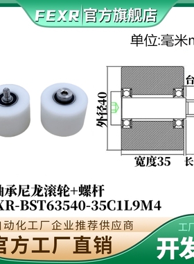 带螺杆BST63540-35C1L9M4尼龙塑料滚轮双轴承加宽输送带POM滑轮