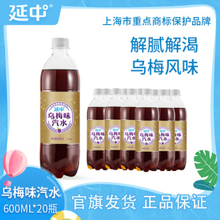 夏季 碳酸飲料果味汽水飲品 箱 20瓶 延中 烏梅味汽水600ml