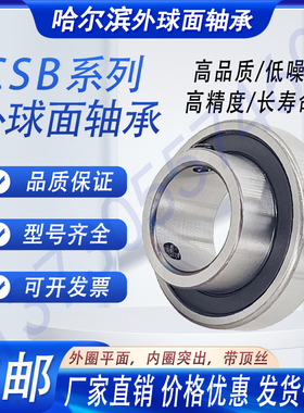 CSB204 205 206 207 208 外圈平面圆柱体轴承 CSB102 103 104 105