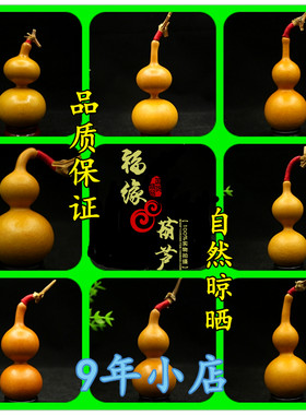 天然五帝钱葫芦手捻风水文玩葫芦精品小葫芦 把件葫芦八宝葫芦