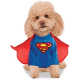 Супермен превращается в собак и домашних животных для кошачьих питомцев