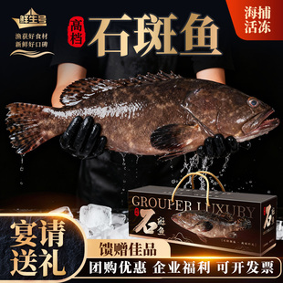 高档石斑鱼年货礼盒马年送长辈新年走亲戚海鲜送礼特大深海鱼过年