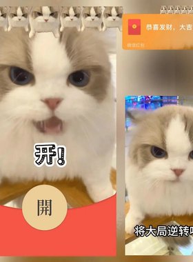 2026新款开！猫meme可爱微信红包封面vx皮肤跨年ciikawa非永久