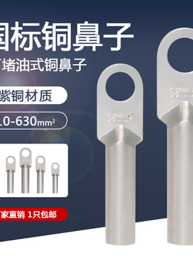 镀锡铜鼻子DT-16/25/50/95/120/240/300平方接线端子线鼻子铜接头
