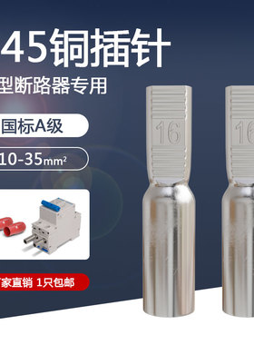 铜鼻子DTD-10/16/25/35平方空开断路器接线端子电线压线端子接头