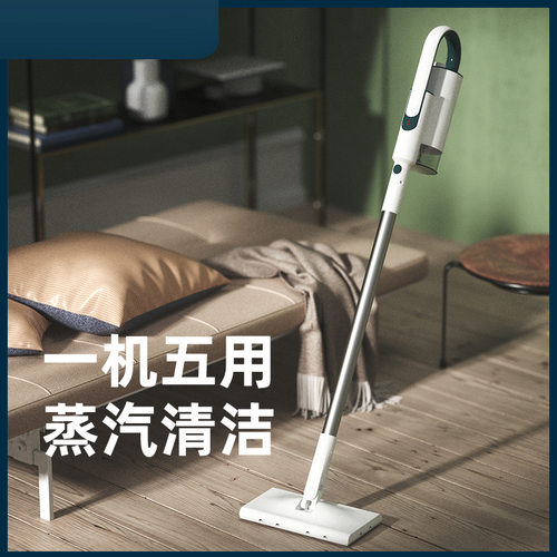 跨境新品蒸汽拖把高温除螨家用清洁器
