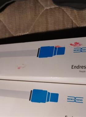 E+H压力开关  PTP31B