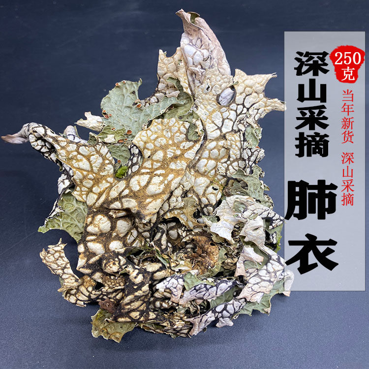 肺衣 250g地衣树蝴蝶老龙皮肺苔藓干品新货凉拌下饭菜煮水整枝