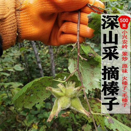 东北小山榛子500g新货原味炒熟