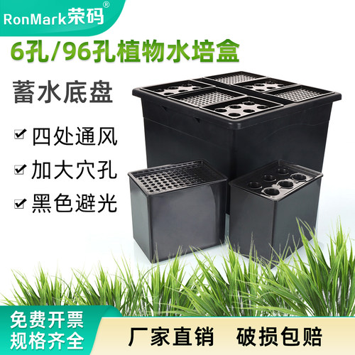 塑料植物水培盒6孔/96孔黑色避光