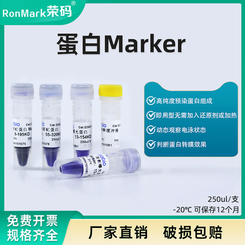 预染蛋白Marker彩虹条带高纯度