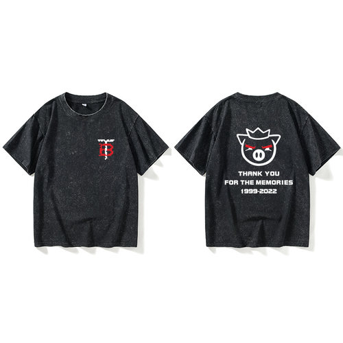 我的世界猪皇血神technoblade周