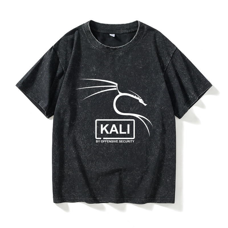 kali操作系统LINUX编程码农程序