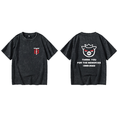 我的世界猪皇血神technoblade周