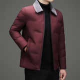 冬季新标羊毛领简约羽绒服XZ804/M6952P220，男装羽绒服，星座804（原QT730）