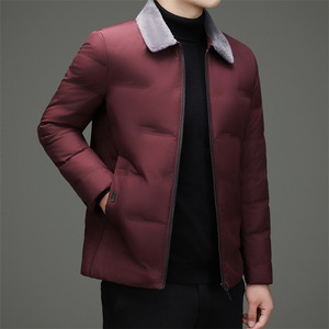 冬季新标羊毛领简约羽绒服XZ804/M6952P220图片