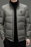 冬季男士商务立领羽绒服白鸭绒纯色羽绒外套M6956P170，男装羽绒服，星座804（原QT730）