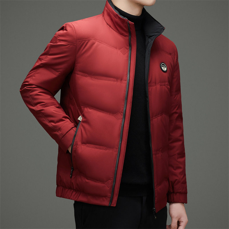 冬季男士商务立领白鸭绒羽绒服纯色羽绒外套XZ804/M6956P170,男装羽绒服,星座804（原QT730）