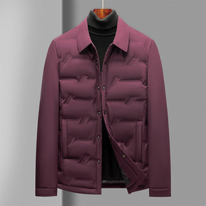冬季轻薄衬衣羽绒服男士商务休闲保暖夹克G2210P115灰色图片