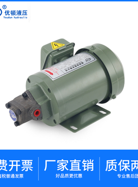 220V电动机油齿轮油泵TOP-12A机床润滑TOP-11/13A三角摆线泵电机