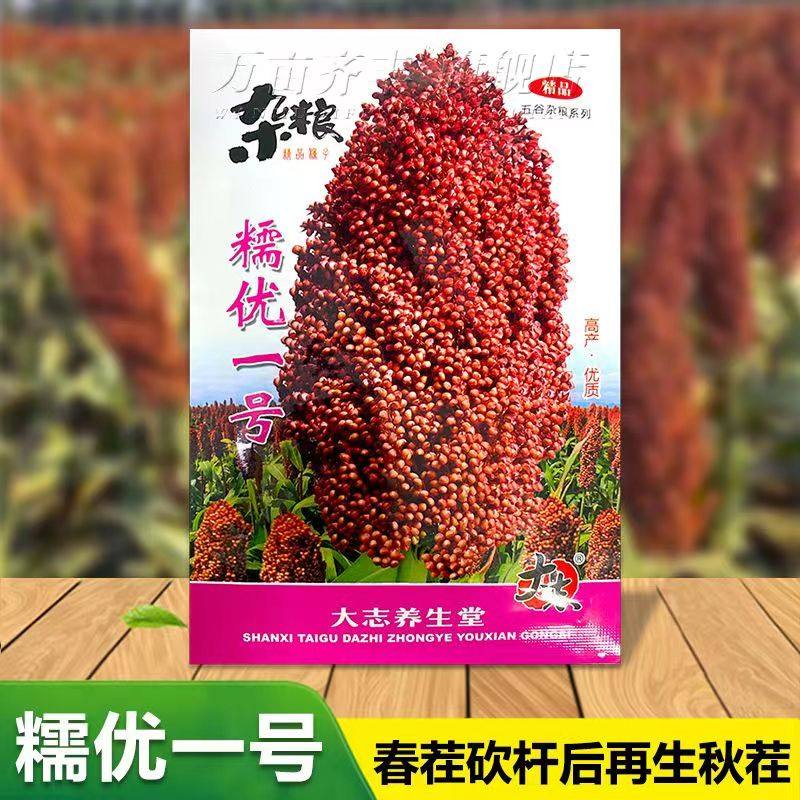 高粱种子粘高粱糯优一号高产抗病高粱种子酿酒年糕专用糯高粱种子