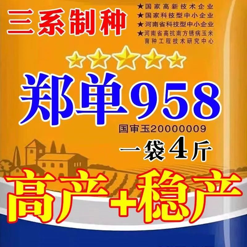 郑单958玉米种子高产+稳产饲料玉米抗倒抗旱粗粮包谷种子国审原装