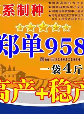 郑单958玉米种子高产+稳产饲料玉米抗倒抗旱粗粮包谷种子国审原装