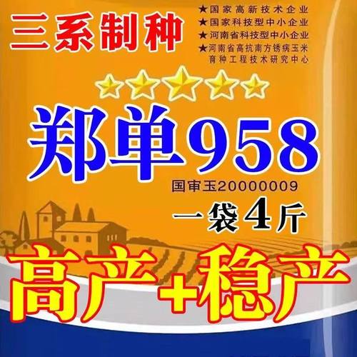 郑单958玉米种子高产+稳产饲料玉米抗倒抗旱粗粮包谷种子国审原装