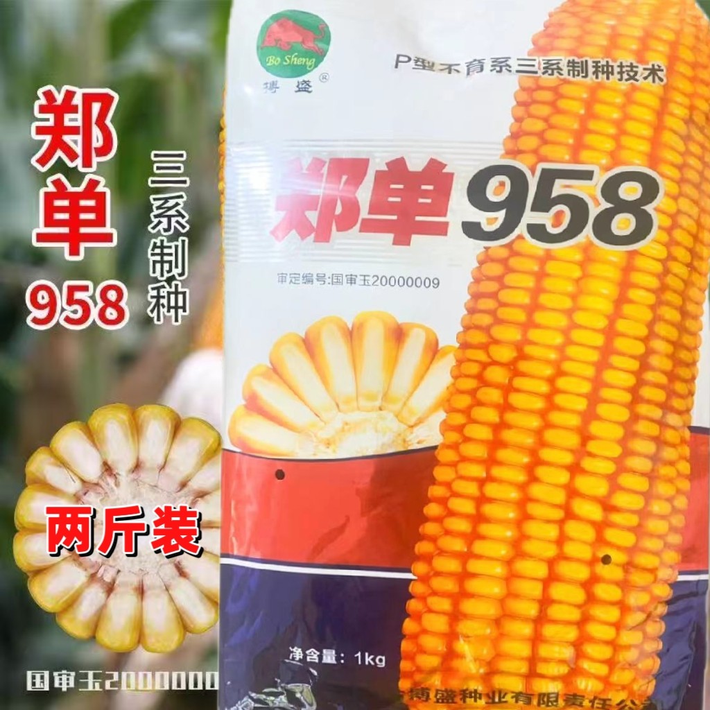 【正品国审】郑单958玉米种子高产抗病耐旱 1kg/袋 春播夏播良种,农用物资,粮油/棉麻作物种子,淘宝优惠券,粉丝福利购,淘宝优惠卷