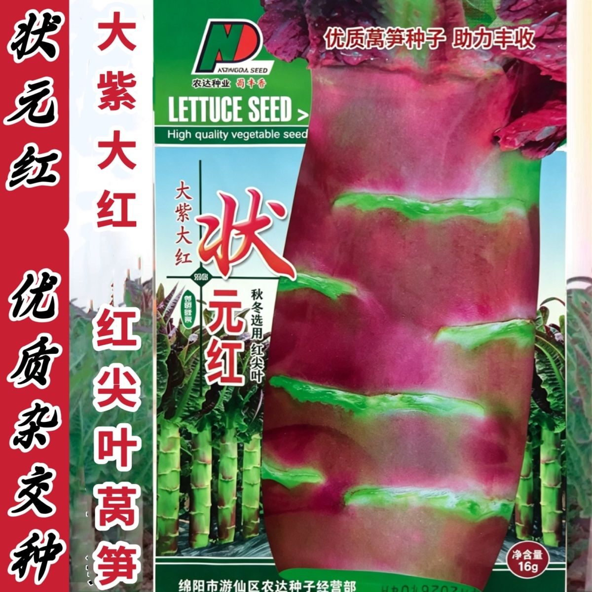 红尖叶莴笋种子 状元红 高产大棒耐寒莴笋秋冬蔬菜种子基地专用种