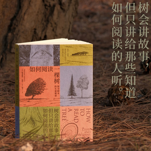 如何阅读一棵树 探寻树木的生命密语