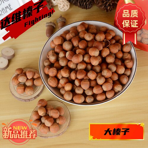 东北特产大榛子大个大颗粒