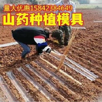 栽种固定栽培引导PVC我想买模型浅生槽工具种植U型槽塑料管怀山