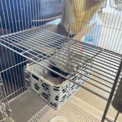 八旗304不锈钢平台松鼠跳台宠物笼平台蜜袋鼯爬梯小宠隔层板包邮