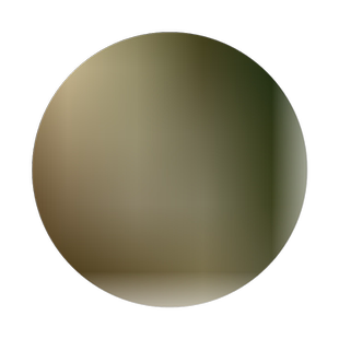 新鲜桉树叶中草药材蜜袋鼯食物现摘 大叶桉树叶小儿泡澡痒湿500g