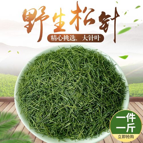 特级松针茶马尾松新鲜野生养生茶