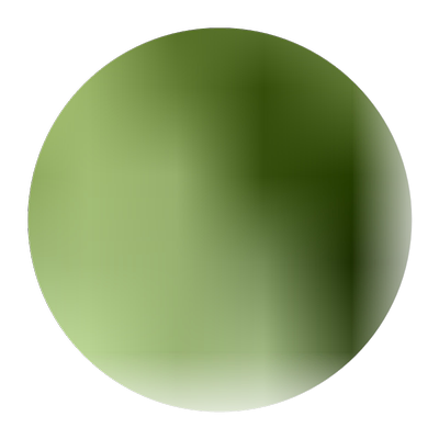 特级松针茶马尾松新鲜野生养生茶