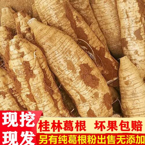 5斤葛根新鲜野生现挖现发广西粉葛生吃煲汤粉嫩无渣蔬菜精选
