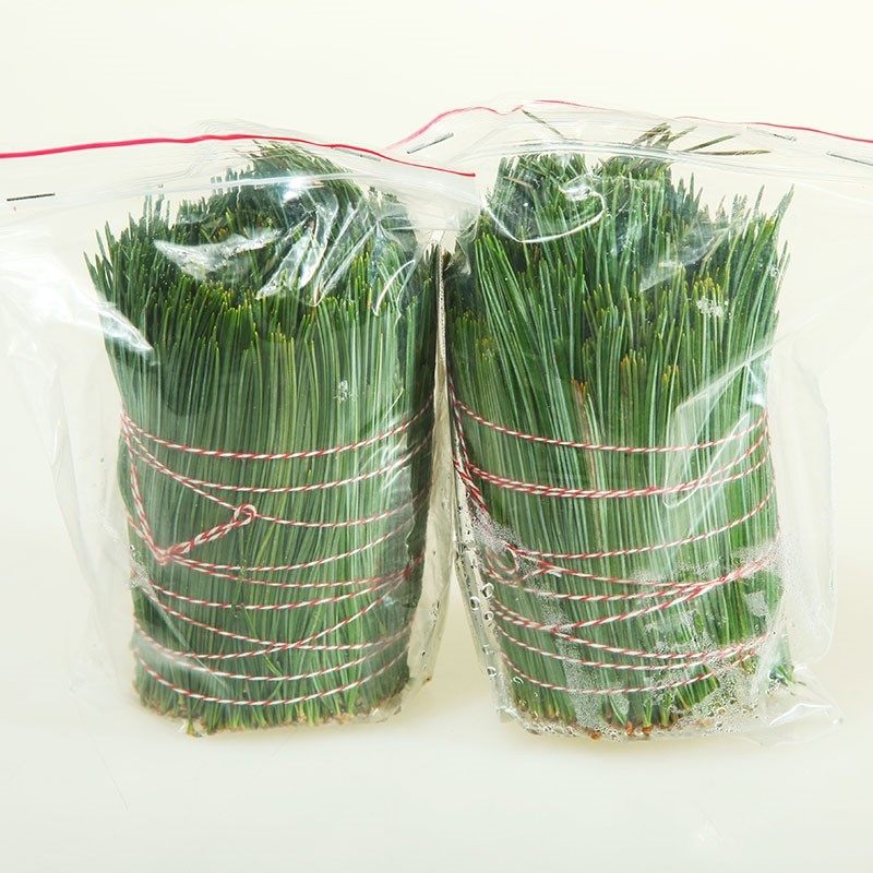 长白山野生松针茶新鲜松针叶红松针五针松针马尾松针泡酒水做酵素,传统滋补营养品,养生茶,淘宝优惠券,粉丝福利购,淘宝优惠卷