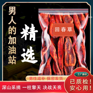 回春草野生云南顶天柱淫花果不老草长白山茴椿草中药材滋补泡酒料