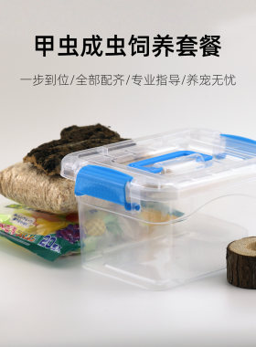 独角仙成虫饲养套餐甲虫箱观察盒