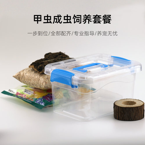 独角仙成虫饲养套餐甲虫箱观察盒