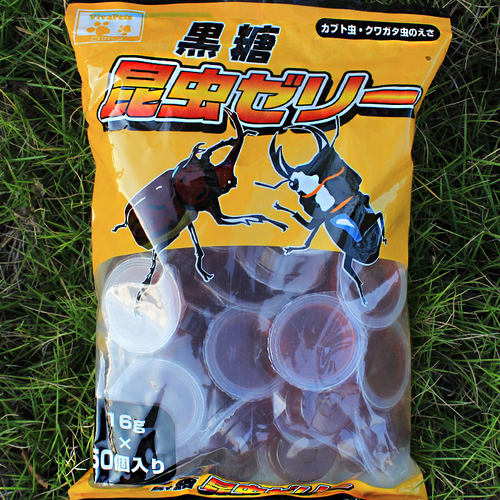 昆虫果冻独角仙饲料甲虫食物锹甲