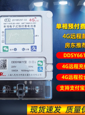上海人民4G远程电表手机扫码充值拉闸出租房单相预付费智能5(60)A