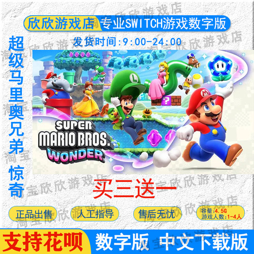 nsswitch马里奥惊奇数字版