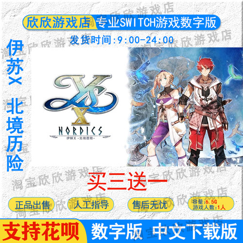 nsswitch伊苏X北境历险数字版