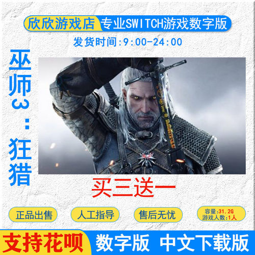 中文ns游戏巫师3狂猎数字版