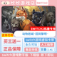 数字版 Switch游戏2 回到黎明 动物迷城 中文买三送一 ns2机器专用